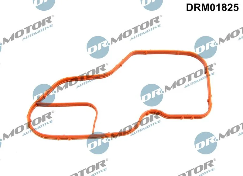 Gasket, thermostat housing Dr.Motor Automotive DRM01825