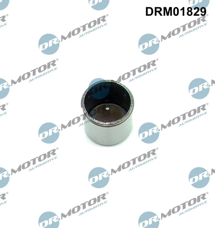 Tucho, bomba de alta pressão Dr.Motor Automotive DRM01829