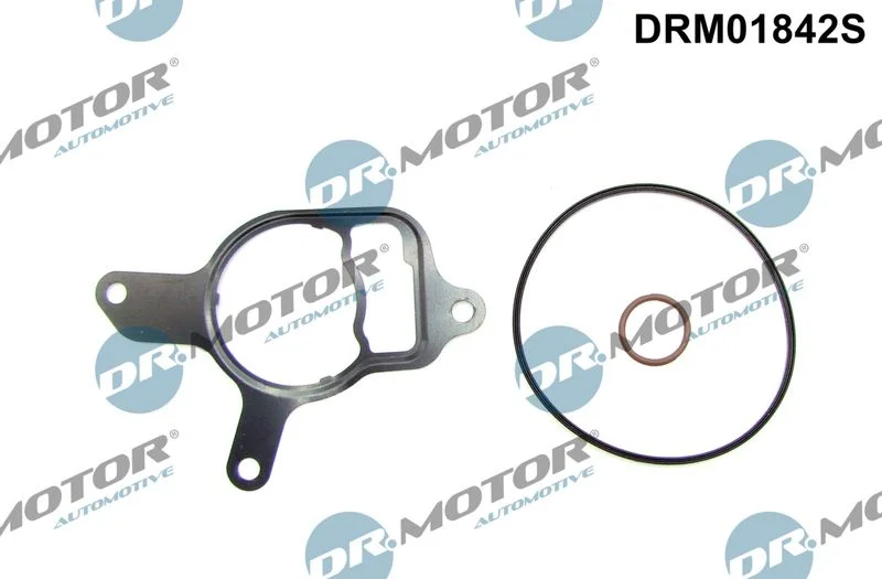 Conjunto de Vedação, bomba de vácuo Dr.Motor Automotive DRM01842S