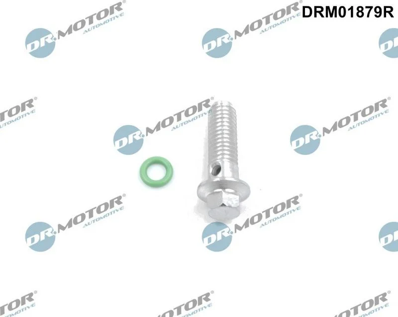 Conjunto de Reparação, bomba de óleo Dr.Motor Automotive DRM01879R