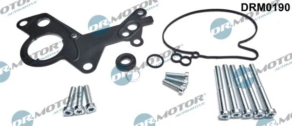 Conjunto de Reparo, bomba de vácuo (sistema de frenagem) Dr.Motor Automotive DRM0190