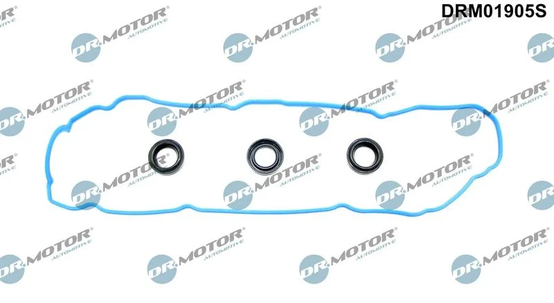 Conjunto de Juntas, tampa da cabeça do cilindro Dr.Motor Automotive DRM01905S