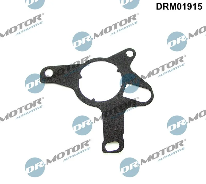 Junta, bomba de vácuo Dr.Motor Automotive DRM01915