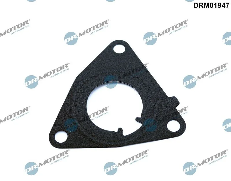Junta, bomba de vácuo Dr.Motor Automotive DRM01947