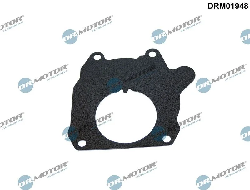 Junta, bomba de vácuo Dr.Motor Automotive DRM01948