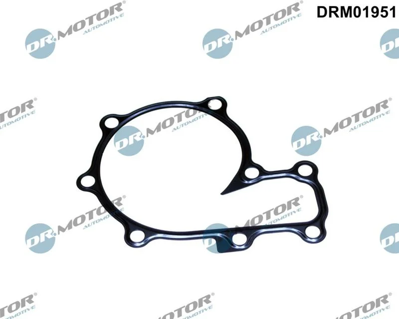 Junta, bomba de água Dr.Motor Automotive DRM01951