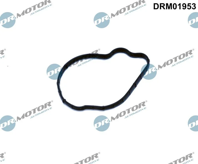 Vedação, bomba de injeção Dr.Motor Automotive DRM01953