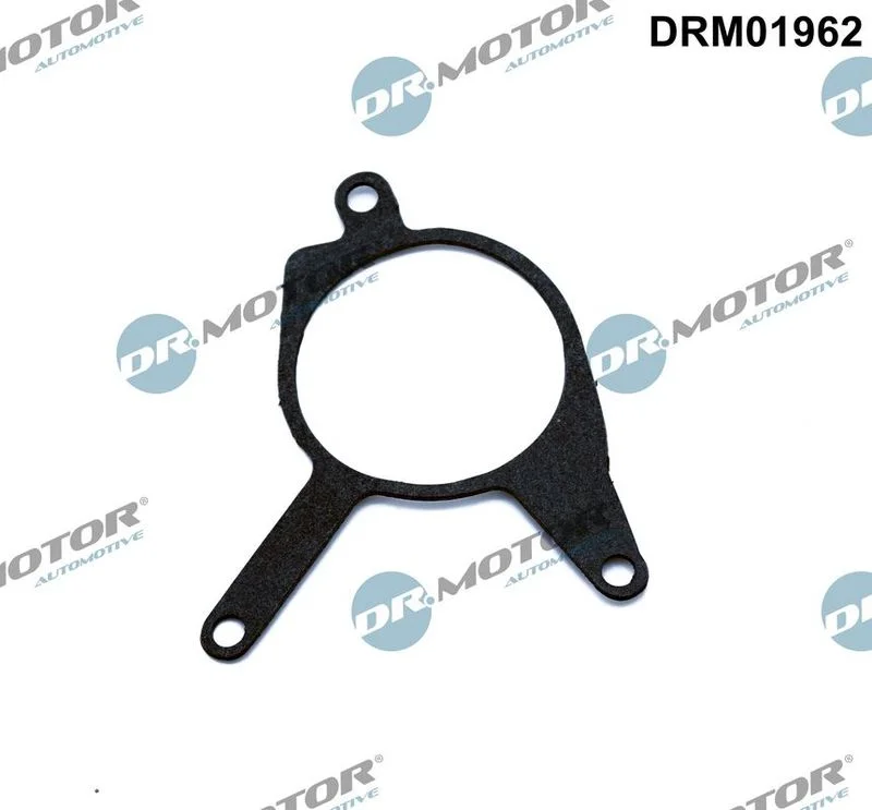 Junta, bomba de vácuo Dr.Motor Automotive DRM01962