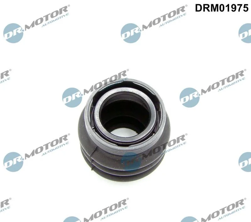 Anel de Vedação, ligação do câmbio Dr.Motor Automotive DRM01975