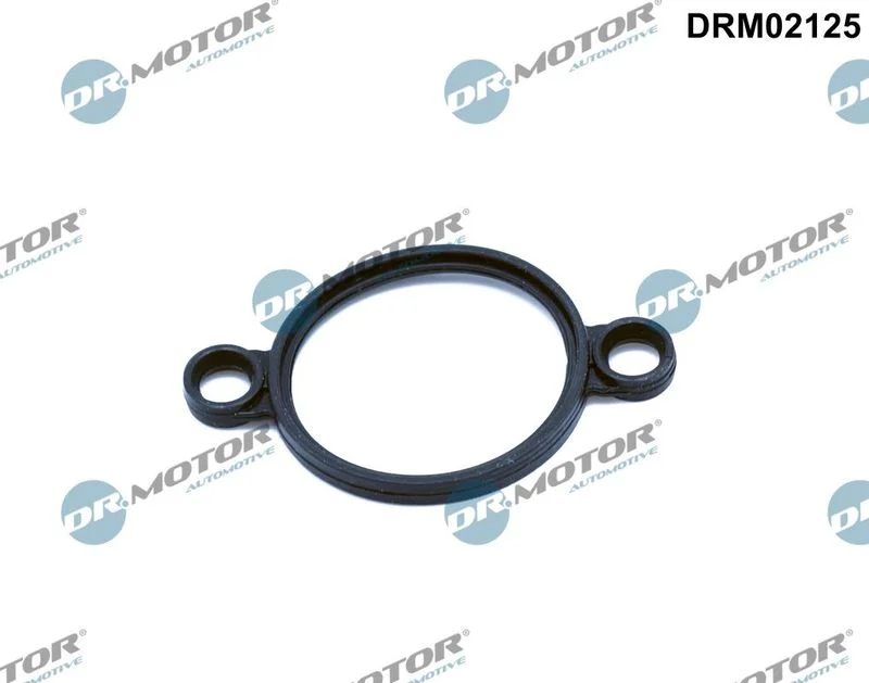 Vedação, elemento de ajuste (eixo excêntrico) Dr.Motor Automotive DRM02125