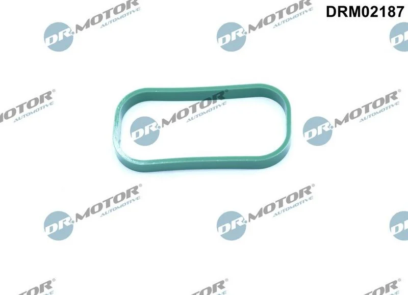 Junta, coletor de admissão Dr.Motor Automotive DRM02187