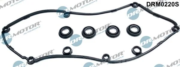 Conjunto de Juntas, tampa da cabeça do cilindro Dr.Motor Automotive DRM0220S