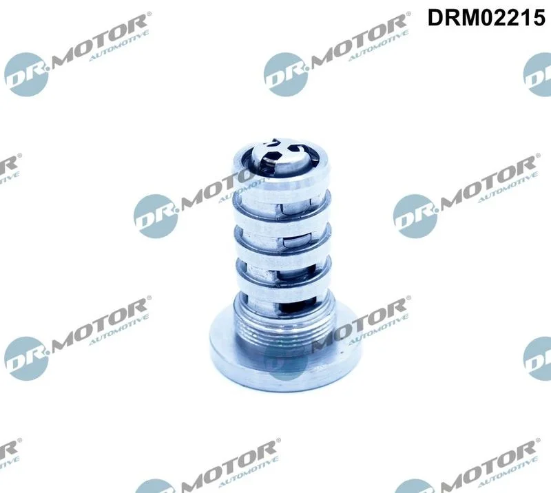 Válvula de Controle, ajuste do comando de válvulas Dr.Motor Automotive DRM02215