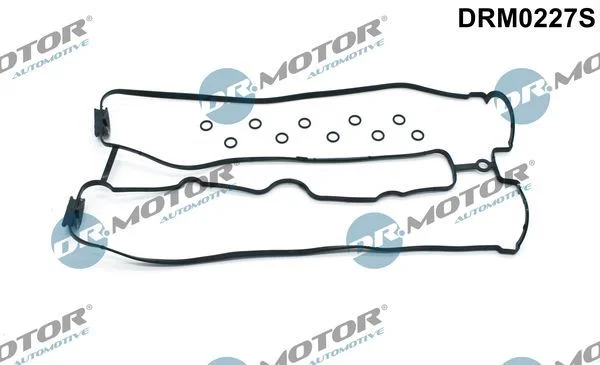 Conjunto de Juntas, tampa da cabeça do cilindro Dr.Motor Automotive DRM0227S
