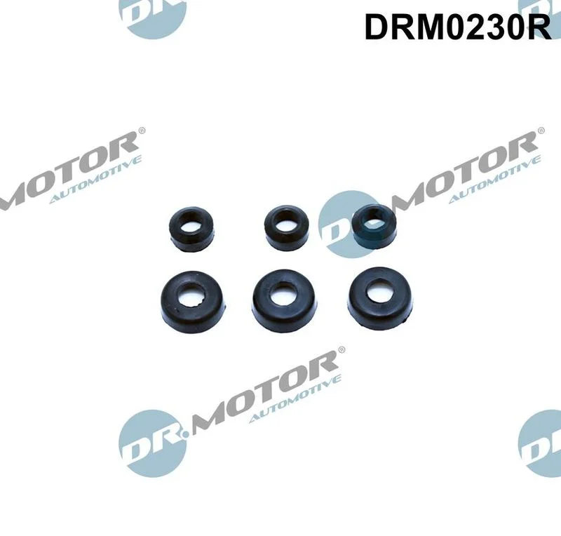 Anel de Vedação, parafuso da tampa da cabeça do cilindro Dr.Motor Automotive DRM0230R