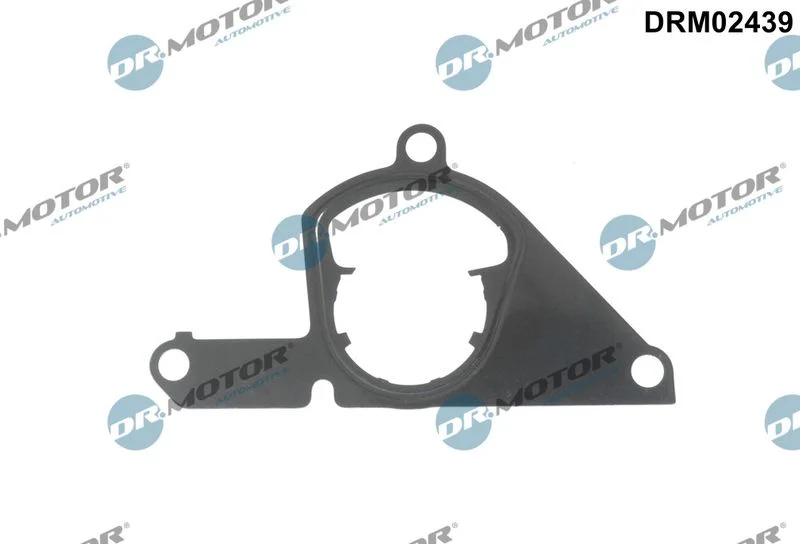 Junta, bomba de vácuo Dr.Motor Automotive DRM02439