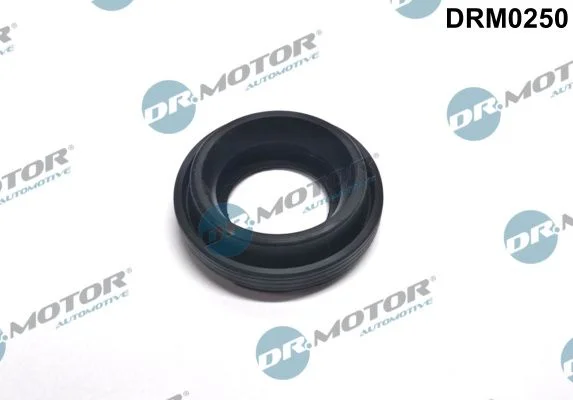 Vedação, suporte do injetor Dr.Motor Automotive DRM0250