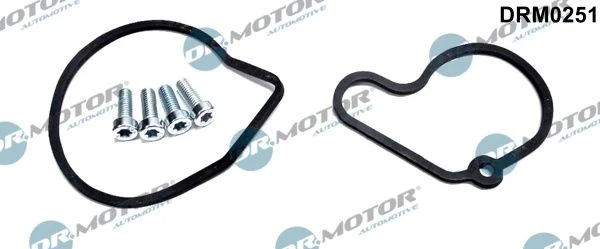 Conjunto de Reparo, bomba de vácuo (sistema de frenagem) Dr.Motor Automotive DRM0251
