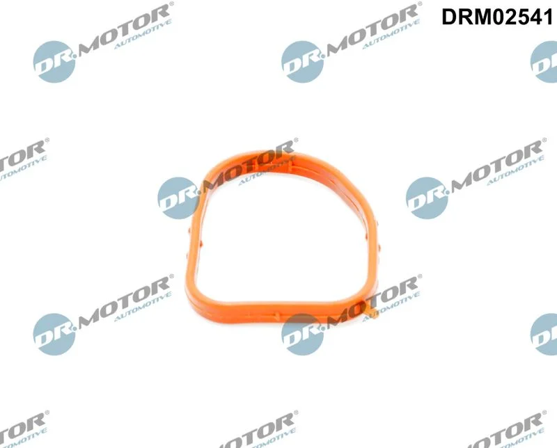 Junta, flange do líquido de arrefecimento Dr.Motor Automotive DRM02541