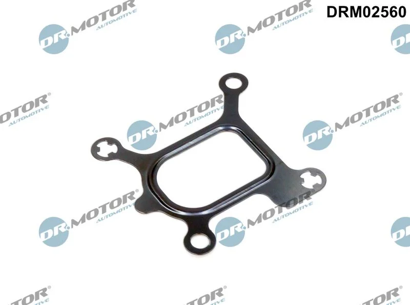 Junta, flange do líquido de arrefecimento Dr.Motor Automotive DRM02560