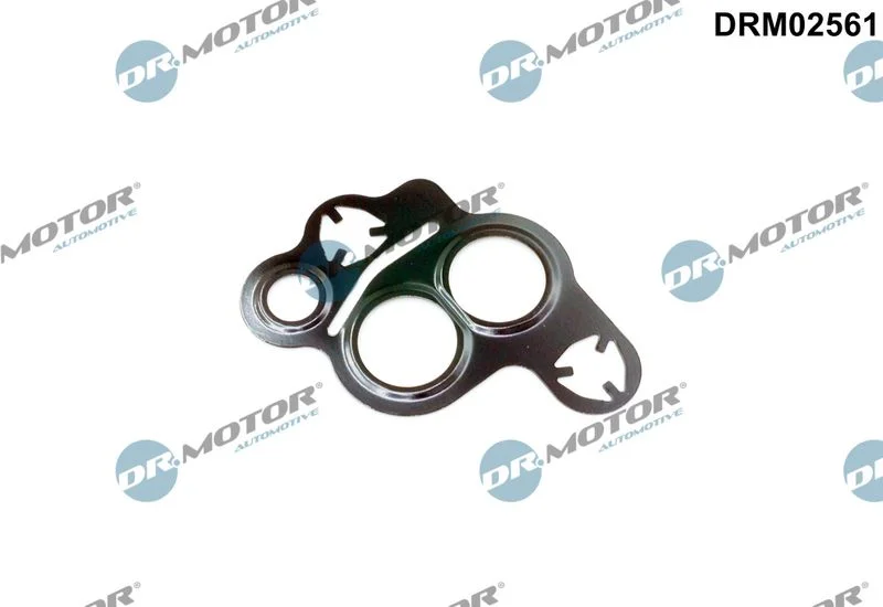 Gasket, EGR valve Dr.Motor Automotive DRM02561