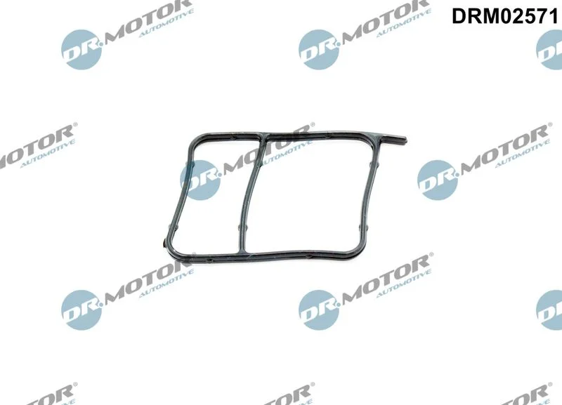 Junta, bomba de água Dr.Motor Automotive DRM02571