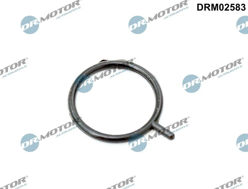 Anel de Vedação, sensor de nível de óleo do motor Dr.Motor Automotive DRM02583