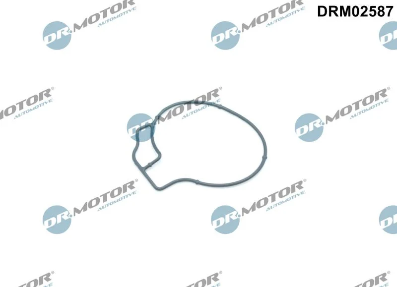Junta, bomba de vácuo Dr.Motor Automotive DRM02587
