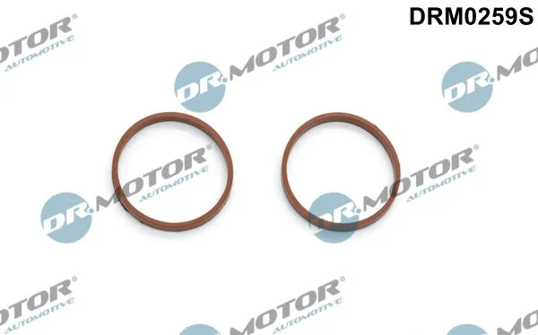 Conjunto de Juntas, coletor de admissão Dr.Motor Automotive DRM0259S