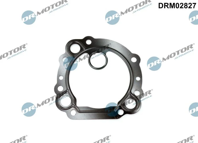 Gasket, EGR valve Dr.Motor Automotive DRM02827