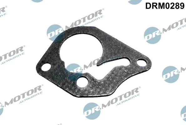 Junta, bomba de vácuo Dr.Motor Automotive DRM0289