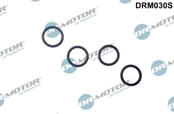 Anel de Vedação, suporte do bico Dr.Motor Automotive DRM030S
