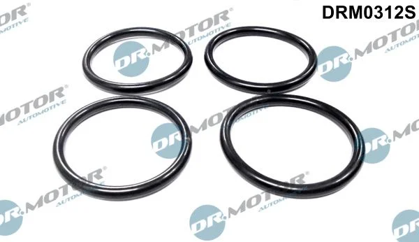 Conjunto de Juntas, coletor de admissão Dr.Motor Automotive DRM0312S