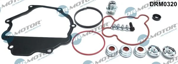 Conjunto de Reparo, bomba de vácuo (sistema de frenagem) Dr.Motor Automotive DRM0320