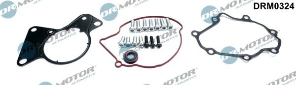 Conjunto de Reparo, bomba de vácuo (sistema de frenagem) Dr.Motor Automotive DRM0324