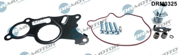 Conjunto de Reparo, bomba de vácuo (sistema de frenagem) Dr.Motor Automotive DRM0325