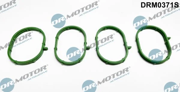 Conjunto de Juntas, coletor de admissão Dr.Motor Automotive DRM0371S
