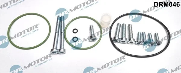 Conjunto de Reparo, bomba de vácuo (sistema de frenagem) Dr.Motor Automotive DRM046