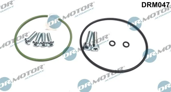 Conjunto de Reparo, bomba de vácuo (sistema de frenagem) Dr.Motor Automotive DRM047