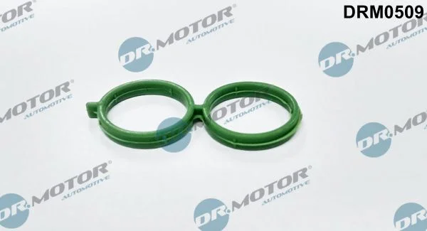 Junta, válvula de controle de marcha lenta de ar Dr.Motor Automotive DRM0509