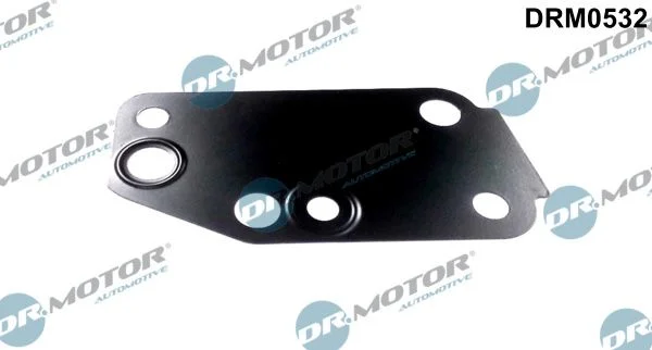 Junta, bomba de água Dr.Motor Automotive DRM0532