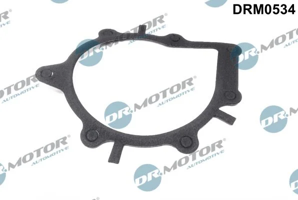 Junta, bomba de água Dr.Motor Automotive DRM0534