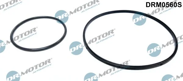 Conjunto de Vedação, bomba de vácuo Dr.Motor Automotive DRM0560S