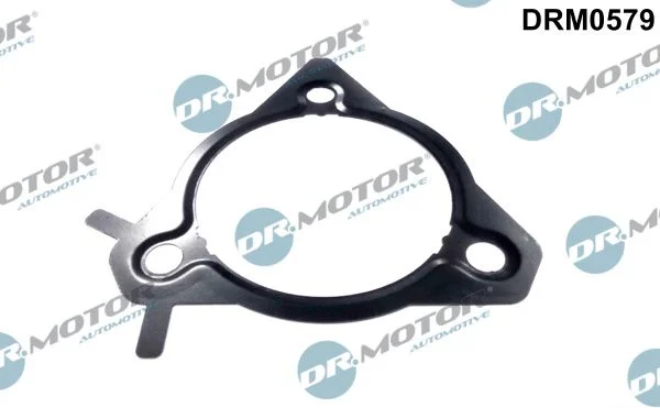 Vedação, bomba de injeção Dr.Motor Automotive DRM0579