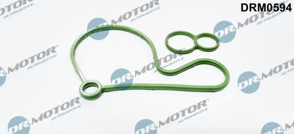 Junta, bomba de vácuo Dr.Motor Automotive DRM0594