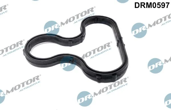 Conjunto de reparação, alternador Dr.Motor Automotive DRM0597