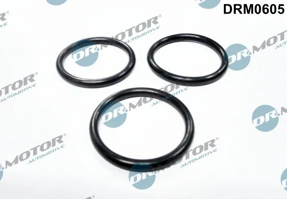 Junta, bomba de água Dr.Motor Automotive DRM0605