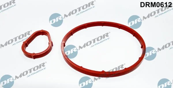 Conjunto de Vedação, bomba de vácuo Dr.Motor Automotive DRM0612