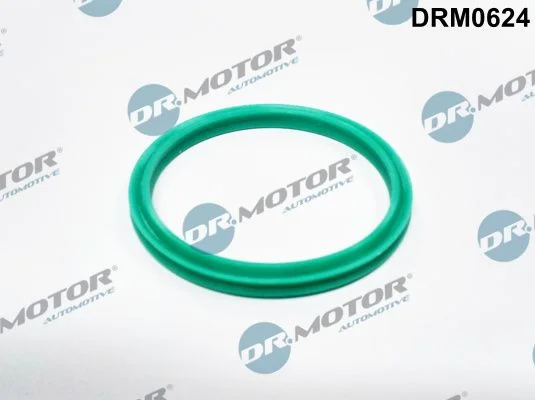 Anel de Vedação, mangueira de ar de carga Dr.Motor Automotive DRM0624