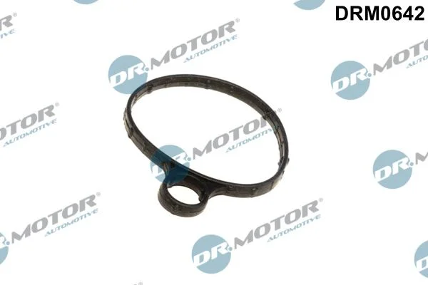 Junta, bomba de vácuo Dr.Motor Automotive DRM0642